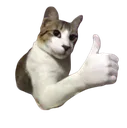 Cat Thumbsup cat_thumbsup Discord Emoji