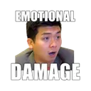 emotional_dmg_b