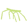 Stickbug