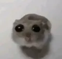 smallestviolin