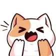 backwo35Catchee Discord Emoji