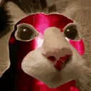 dosealerta