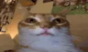 grr