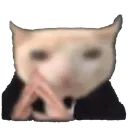 BusinessYun