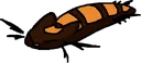 lostloaf