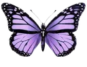 Spring_purple_Bu4