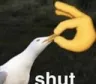shut