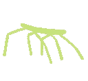 k_stickbug2