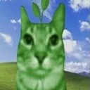 pikmin pikmin