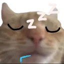 sleep