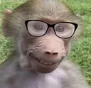 Chinchin3