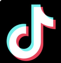 tiktok Discord emoji