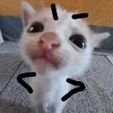 what_did_u_say