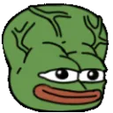 BigBrain