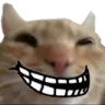 cattroll