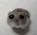 k_gulps k_gulps