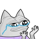 pepecatcry