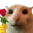 flores flores