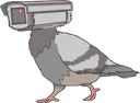 realbird