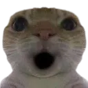ohmidios