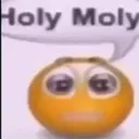 holymoly holymoly
