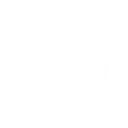 voice