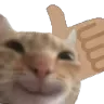 carthumbsup