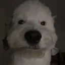just_doug