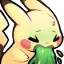 pika_vomit