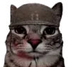 war