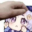 AA_Qiqi_Pet