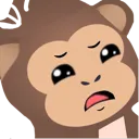 MonkeyDisgusted