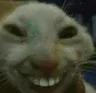 cheheheh