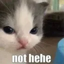 NotHehe