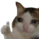emoji_3