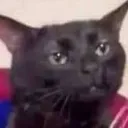 emoji_91 emoji_91