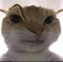 sus