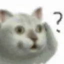 GatoMiata