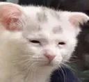 sleepy