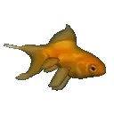 pcrowFish