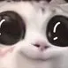 OWO OWO
