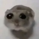 emoji_67 emoji_67
