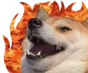 firedog