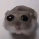 stinker Discord Emoji from ۶ৎ　‿　cemetery　 ݁ 　˖