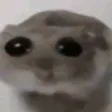 pspOh