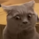 cb_cat_sideeye Discord emoji
