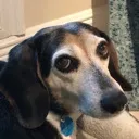 lucy_disappointed
