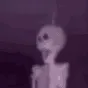 skelefan skelefan