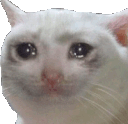 sadcat Discord emoji