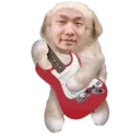 jenovarocknroll